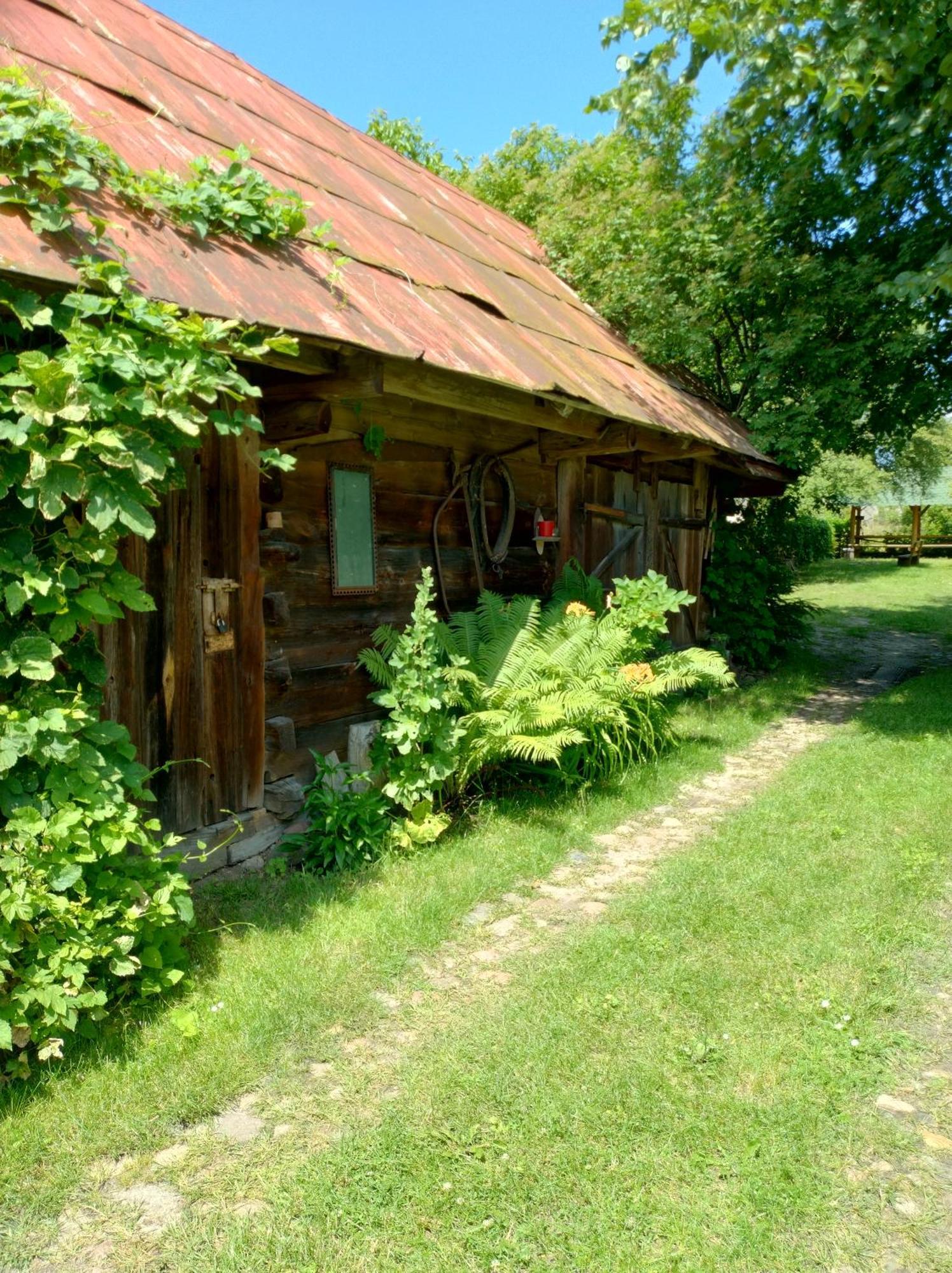 Dom Sloneczko Pokoje Do Wynajecia W Bialowiezy Białowieża Eksteriør billede