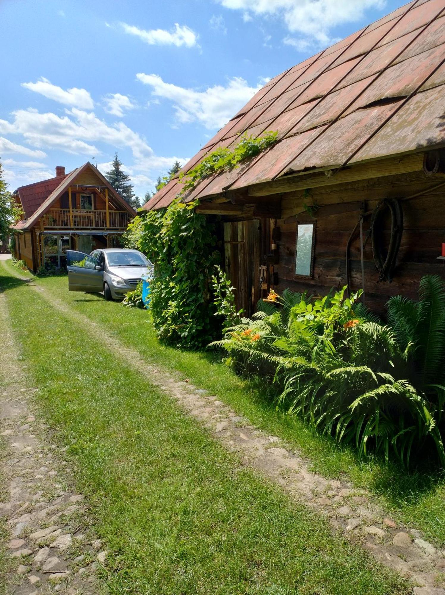 Dom Sloneczko Pokoje Do Wynajecia W Bialowiezy Białowieża Eksteriør billede